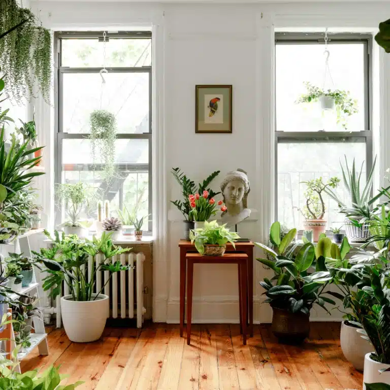 espacio verde en casa